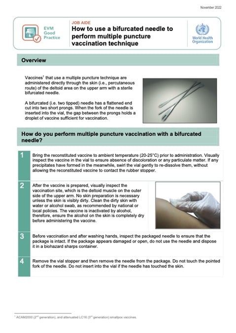 How to use a bifurcated needle to perform multiple puncture vaccination technique