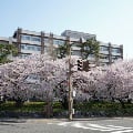 JPN-75_2 Building